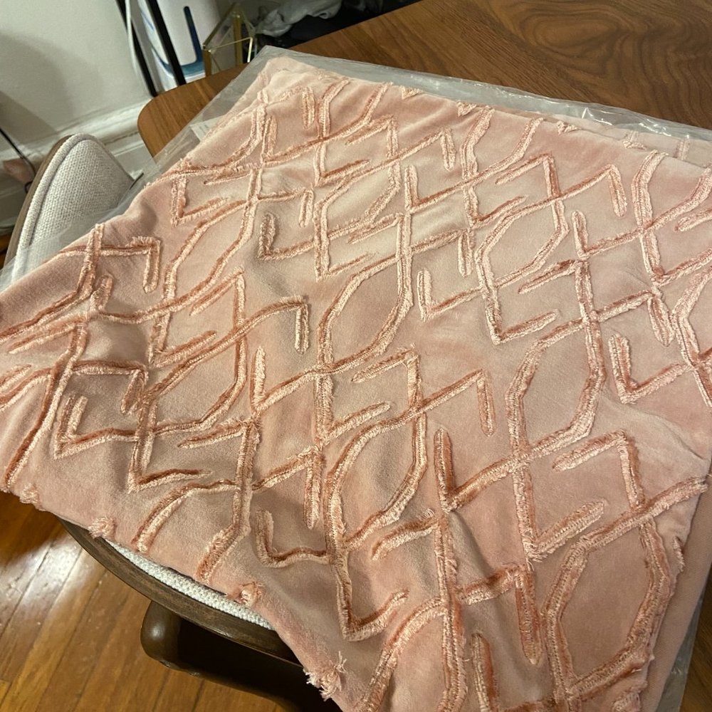 West Elm - Cut Embroidery Velvet Pillow Cover